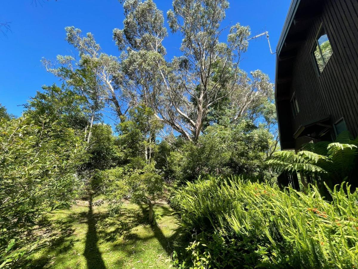 Sublime Cedar Lodge Leura Exterior foto